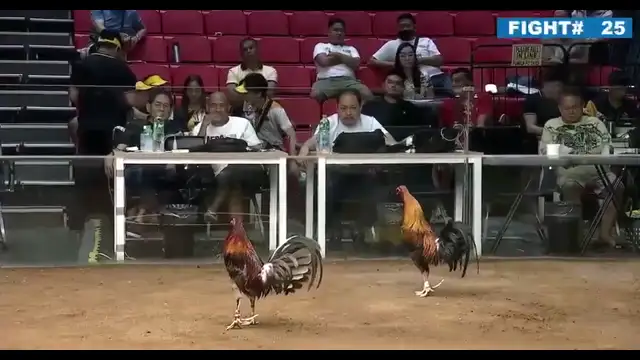 Gerry Ramos VS Paulo Malvar