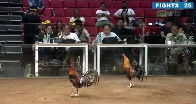 Gerry Ramos VS Paulo Malvar